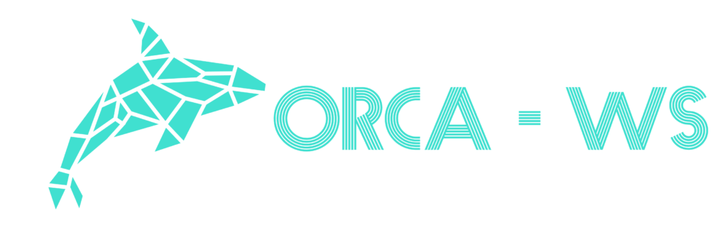 Orca Web Solutions - logo